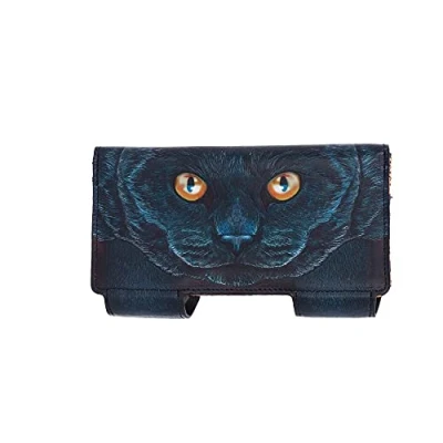 Abbildung von Nemesis Now Guardian Cat Geldbörse mit Prägung, 18,5 cm