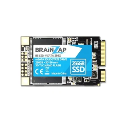 Abbildung von BRAINZAP 256GB mSATA SSD 6 GBit/s Mini SATA 550MB/s Lesen 500MB/s Schreiben Solid State Drive