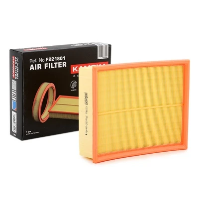 Abbildung von Luftfilter KAMOKA F221801