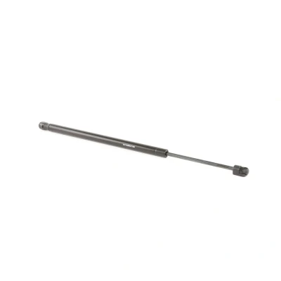 Abbildung von RIDEX 219G0912 Heckklappendämpfer 110 489 VOLKSWAGEN: Jetta 4