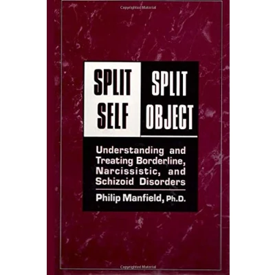 Abbildung von Split Self/ Object:: Understanding and Treating Borderline, Narcissistic, Schizoid Disorders