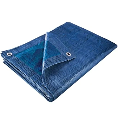 Abbildung von Gewebeplane Abdeckplane Schutzplane, Bootsplane, Holzplane, 2x8m Schnittmaß (Ca 5 Proz.), Blau oder Grün