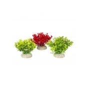 Abbildung von Europet Bernina Aquariendeko Aquariumpflanze Glossostigma natur