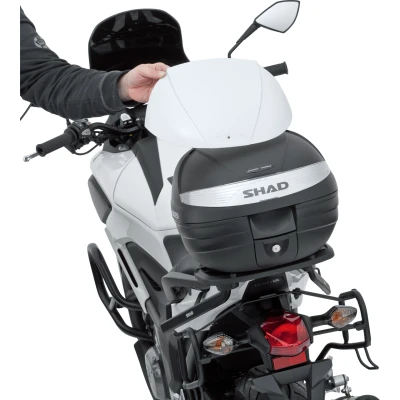 Abbildung von SHAD D1B29ER Topcase Zubehör, Beige