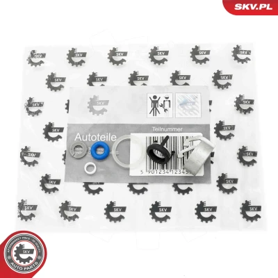 Abbildung von ESEN SKV 53SKV193 Reparatursatz, Düsenhalter AUDI: Q5