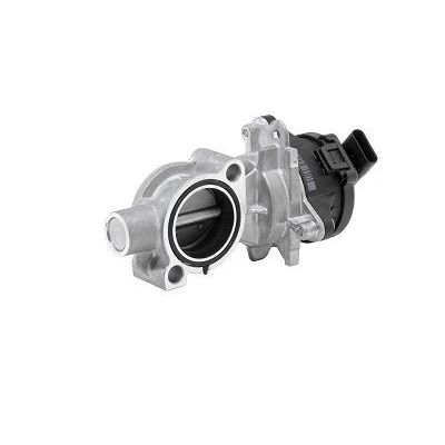 Abbildung von WAHLER 72147558D AGR Ventil elektrisch ohne Anbaumaterial