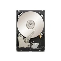 Abbildung von Seagate Constellation ES ST32000644NS Interne Festplatte 2TB (8,9 cm (3,5 Zoll), 7200 rpm, 8,5 ms Zugriffszeit, 64MB Cache)