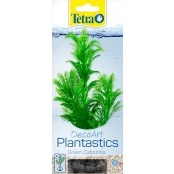 Abbildung von Pflanze TETRA Green Cabomba S.