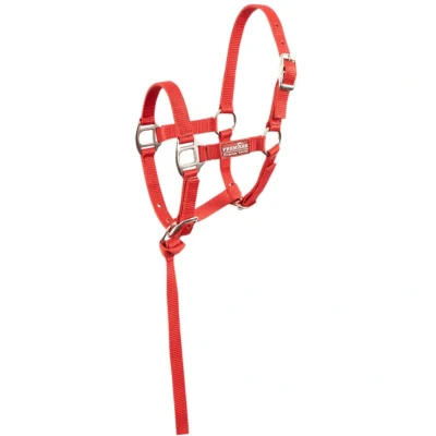 Abbildung von Premiere Fohlen Halser Set Brisk Mit Mini Line Pompeian Red