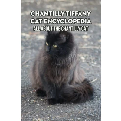 Abbildung von Chantilly Tiffany Cat Encyclopedia: All about the Cat: Cats