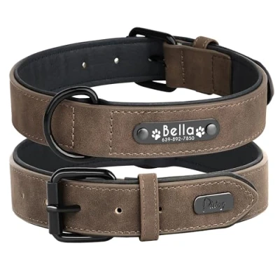 Abbildung von Didog Hundehalsband, weiches, gepolstertes, Leder, mit personalisierbarem, graviertem Namensschild, D Ring. Für kleine und mittelgroße Hunde geeignet.