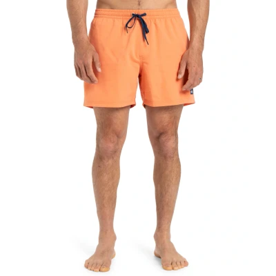 Abbildung von Quiksilver Everyday Solid 15 Badeshorts, Herren, Größe: Large, Nhz