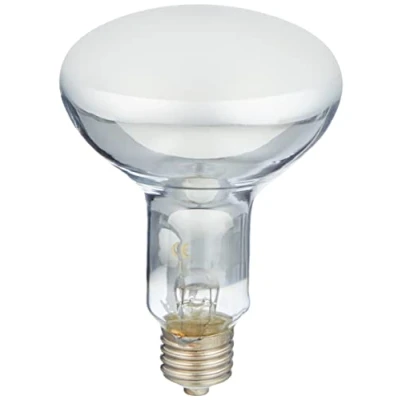 Abbildung von Trixie ProSun Mixed D3 Mercury 100W UV A+B