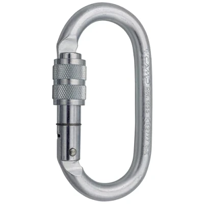 Abbildung von C.A.M.P. Oval Pro Lock Steel Karabiner, poliert, Einheitsgröße