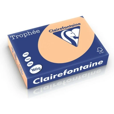 Abbildung von Clairefontaine Kopierpapier 1011PC A4 160g aprikose 250 Blatt