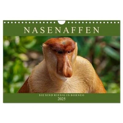 Abbildung von Nasenaffen von Borneo (Wandkalender 2025 DIN A4 quer), CALVENDO Monatskalender