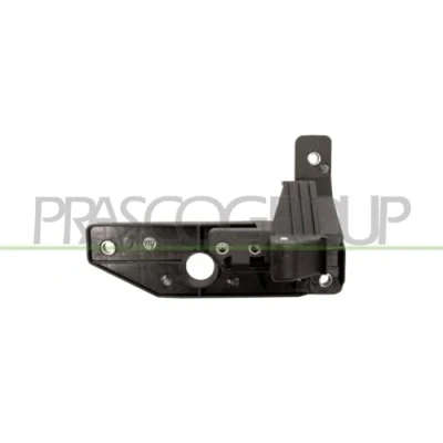 Abbildung von PRASCO FT1378438 Türgriff hinten links, vorne links FIAT: BRAVO 1