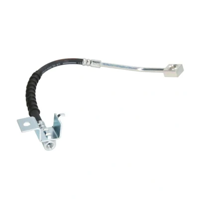 Abbildung von DELPHI LH6579 Bremsschläuche 310 Banjo CHRYSLER: PT Cruiser Kombi, Cabrio