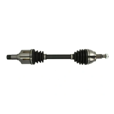 Abbildung von Antriebswelle PASCAL G2M008PC