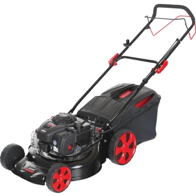Abbildung von MTD Benzinrasenmäher &quot;SMART 46 SPBS&quot;, mit Seiten und Heckauswurf