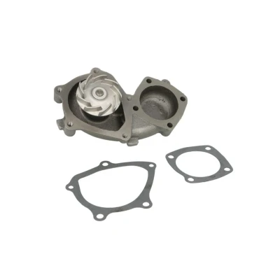 Abbildung von MAGNETI MARELLI 352316170314 Wasserpumpe FIAT: Punto I Schrägheck, Strada Pickup