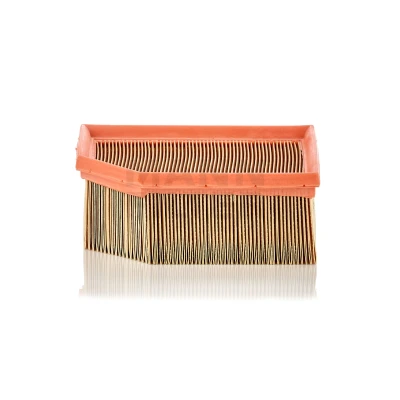 Abbildung von MANN FILTER C 1995 Luftfilter 70 171 189, 139 Filtereinsatz CITROËN: Berlingo / First I, I Kastenwagen
