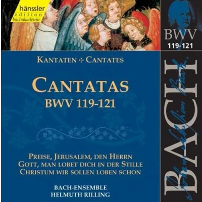 Abbildung von Edition Bachakademie Vol. 38 (Geistliche Kantaten BWV 119 121)