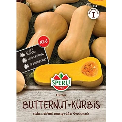 Abbildung von Sperli Butternutkürbissamen Hunter, F1 81334 sicher reifend nussig süßer Geschmack Inhalt für 8 Pflanzen Gemüsesamen, Samen Gemüse, Saatgut