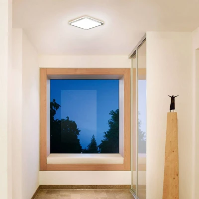 Abbildung von steinel LED Deckenleuchte RS, Bewegungsmelder, fest integriert, Warmweiß, 360Â Bewegungsmelder,Edelstahl+LED Leuchtmittel, Warmweiß,Deckenlampe