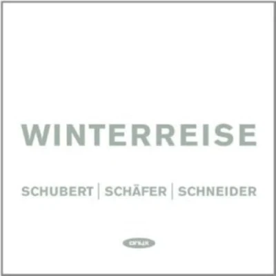 Abbildung von Franz Schubert: Winterreise
