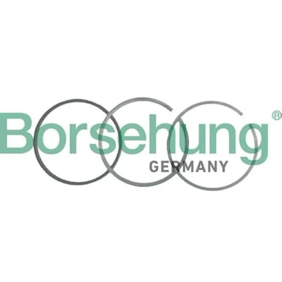Abbildung von Borsehung B19040 Kolbenringsatz VOLKSWAGEN: Golf 4 Schrägheck, 5 Polo IV AUDI: A4 B5 Avant, A3 B6 Avant