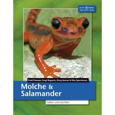 Abbildung von Molche und Salamander halten züchten: Schwanzlurche (Urodela) (Terrarien Bibliothek)
