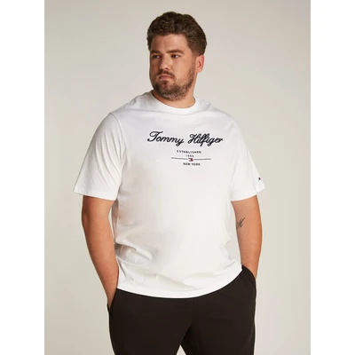 Abbildung von Tommy Hilfiger Script LOGO TEE Tshirt print, Herren, Größe: XXL, White