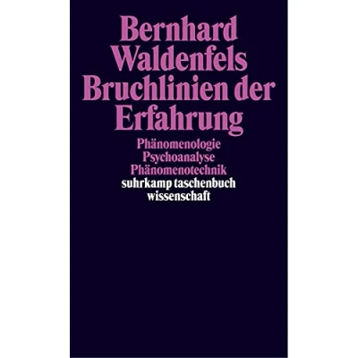 Abbildung von Bruchlinien der Erfahrung: Phänomenologie Psychoanalyse Phänomenotechnik (suhrkamp taschenbuch wissenschaft)