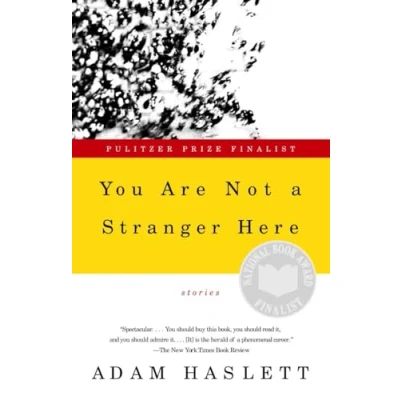 Abbildung von You Are Not a Stranger Here