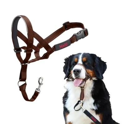 Abbildung von HALTI Kopfgeschirr Verhindert, dass Ihr Hund an der Leine zieht, Einfache Anpassung, Leicht, mit gepolstertem Nasenriemen, Anti Zug Halsband für große Hunde (Größe 4, Walnussbraun)