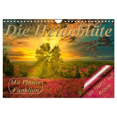 Abbildung von Die Heideblüte (Wandkalender 2025 DIN A4 quer), CALVENDO Monatskalender