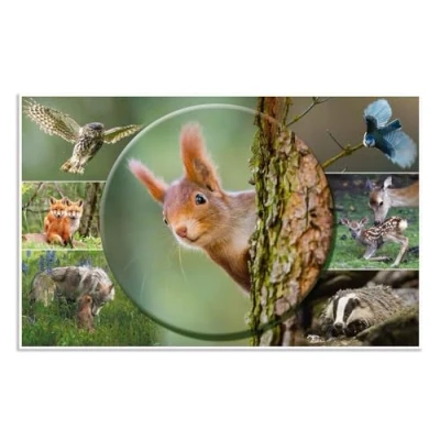 Abbildung von HERMA 19647 Schreibtischunterlagen Tierwelten Waldtiere, 3 Stück, abwischbare Kinder Schreibunterlagen aus Karton, 55 x 35 cm, beidseitiges Motiv Tischunterlagen Set für Mädchen &amp; Jungen