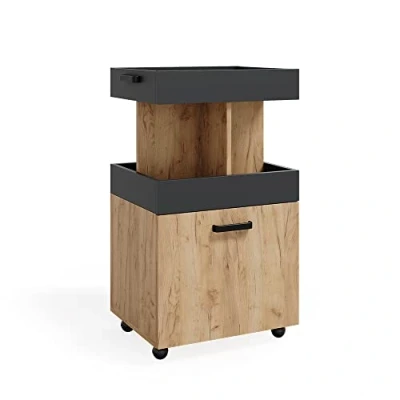 Abbildung von Vicco Barschrank Kamber, Goldkraft Eiche/Anthrazit, 50 x 89 cm