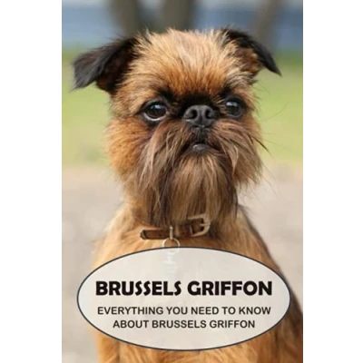 Abbildung von Brussels Griffon: Everything You Need to Know About Griffon Dog Breed Pictures