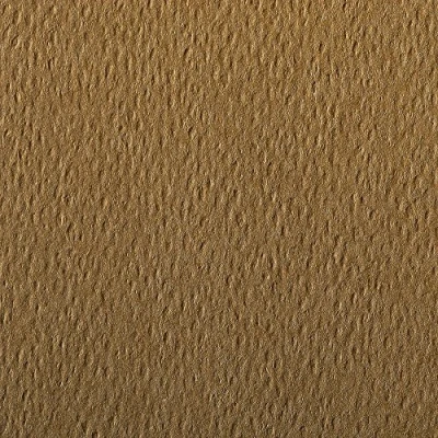 Abbildung von Clairefontaine 90877C Packung (mit 5 Bögen Zeichenpapier Etival Color, DIN A4, 21 x 29,7 cm, 160g, gekörnt, ideal für Trockentechnik und Einrahmen) havannablau