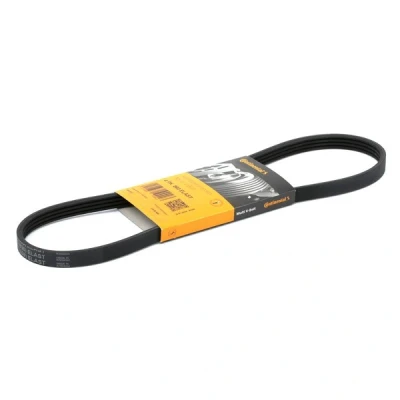 Abbildung von CONTITECH 4PK860 ELAST Keilrippenriemen 860 4 BMW: X5, 5 Limousine, Touring