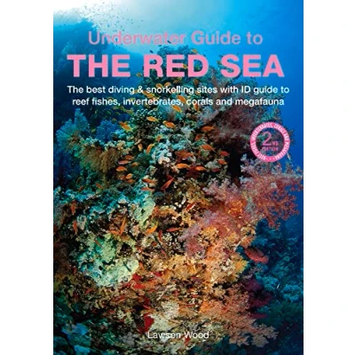 Abbildung von An Underwater Guide to the Red Sea (Underwater Guides)