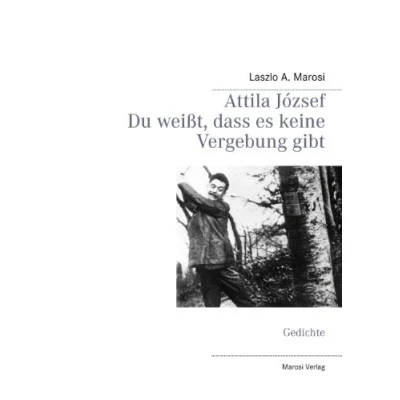 Abbildung von Attila József Du weißt, dass es keine Vergebung gibt: Gedichte