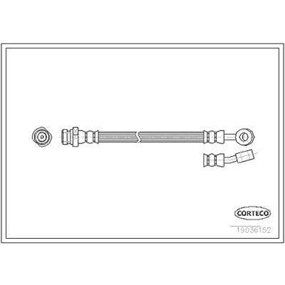 Abbildung von CORTECO 19036152 Bremsschläuche Hinterachse 318 KIA: Pro cee‘d I Schrägheck