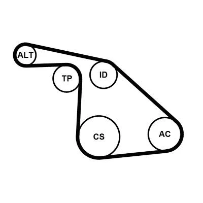 Abbildung von CONTITECH 6PK1038K1 Keilrippenriemensatz FIAT: BRAVO 2, 500L, Idea, ALFA ROMEO: MiTo