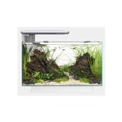 Abbildung von SuperFish quadro 40 pro weiß