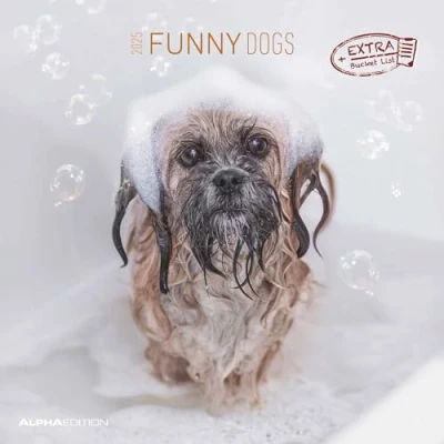 Abbildung von Alpha Edition Funny Dogs 2025 Broschürenkalender, 30x30cm, Wandkalender mit Platz für Notizen und Termine, lustige Hunde Motive, Monatsübersicht Ferientermine DE/AT/CH