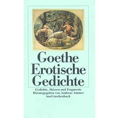 Abbildung von Erotische Gedichte: Gedichte, Skizzen und Fragmente (insel taschenbuch)