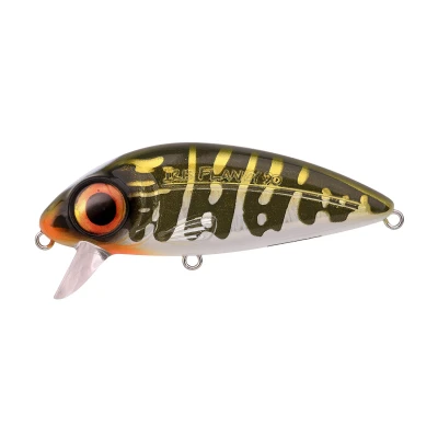 Abbildung von Spro Iris Flanky Hardlure Nort.Pike 7,5Cm 13G Wobbler